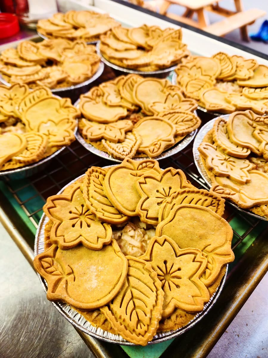 Apple Pie for Dogs